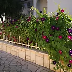 Palace Apartments