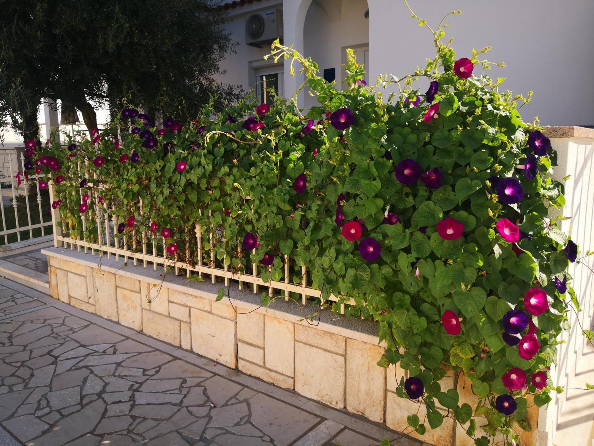 Palace Apartment Porec